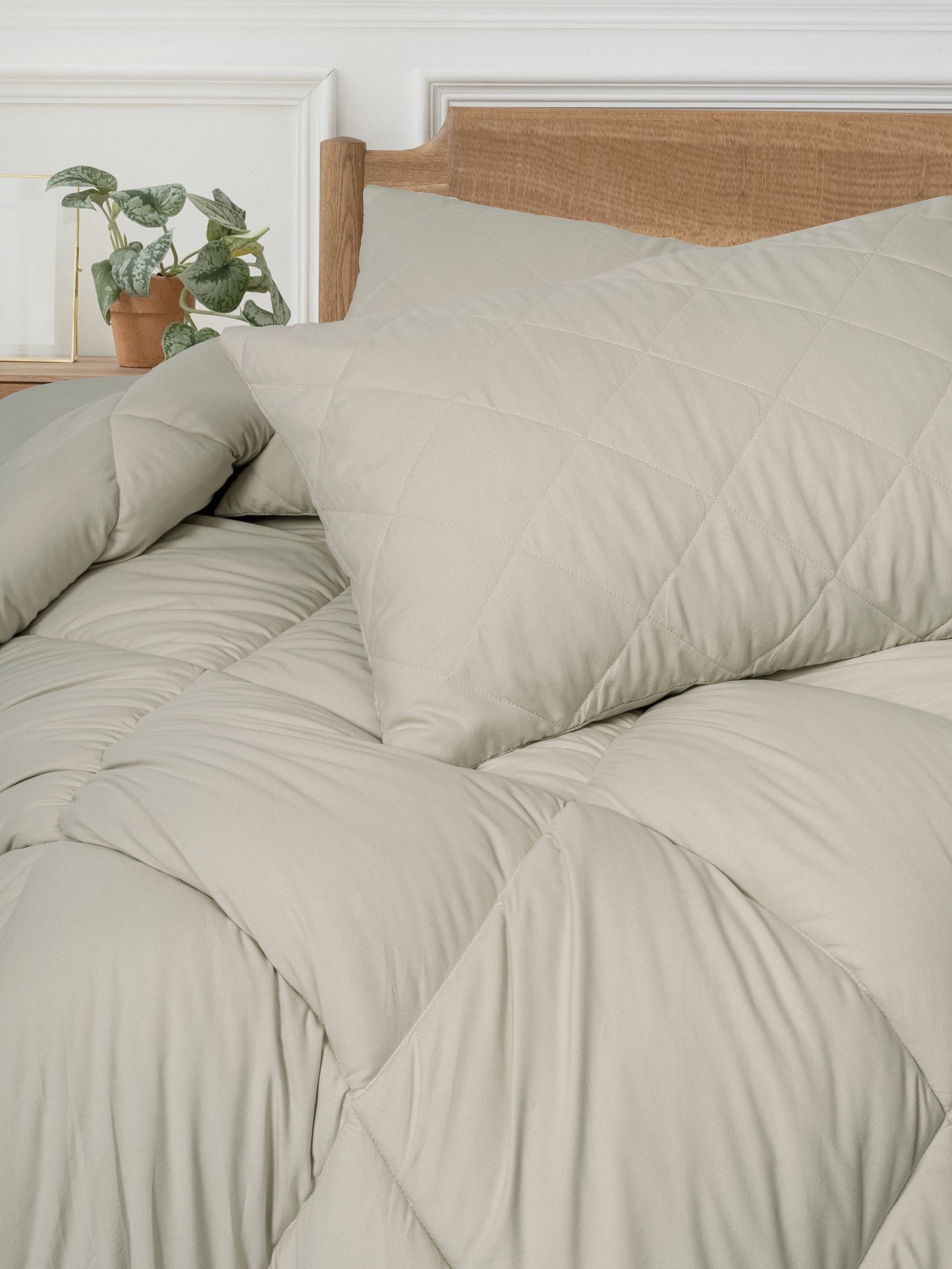 Cotton Box-Softwash Tek Kişilik Yorgan Seti Taş-Yorgan-2-Milagron.com