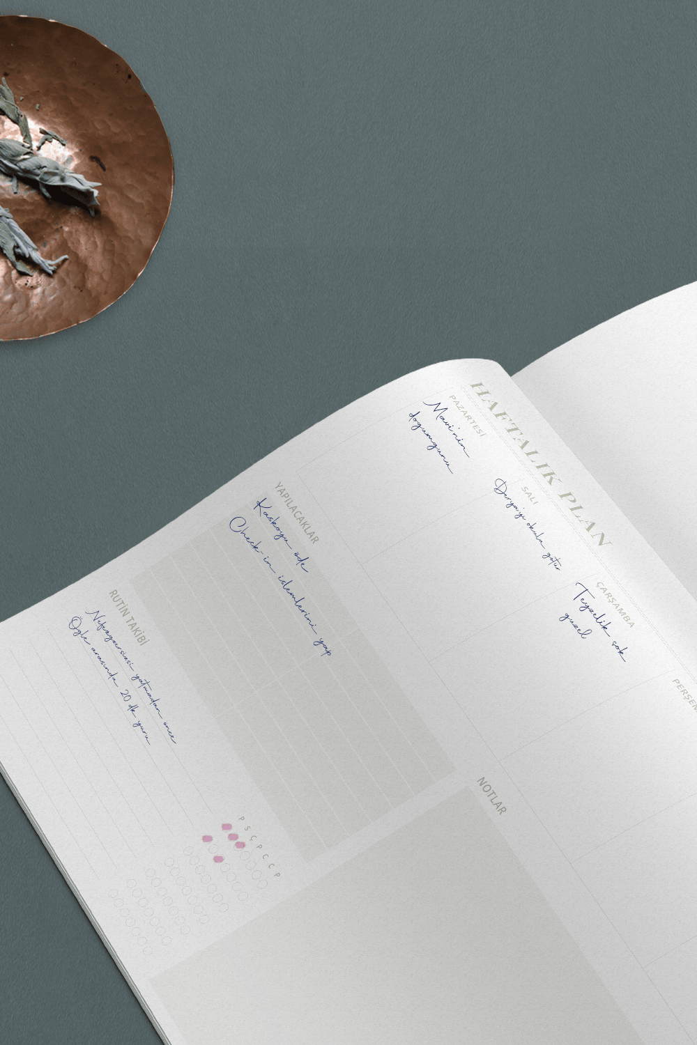 Daily Me Wellbeing-2'li Planlayıcı Set-Ajanda-5-Milagron.com