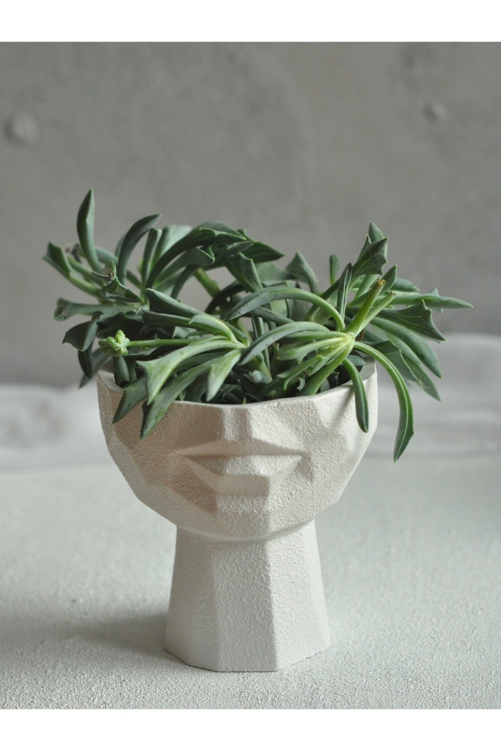 Dea'rt İstanbul-Lip Case Beyaz Saksı S-Dekoratif Saksı-1-Milagron.com