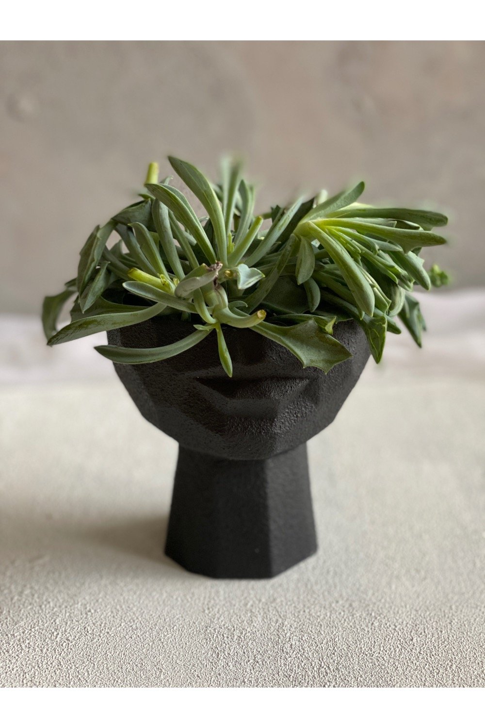 Dea'rt İstanbul-Lip Case Siyah Saksı-Dekoratif Saksı-2-Milagron.com