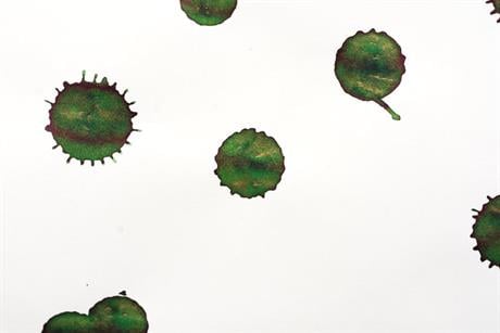 Diamine-Diamine Ink Shimmering Mürekkep Golden Ivy 2018-Mürekkep-9-Milagron.com