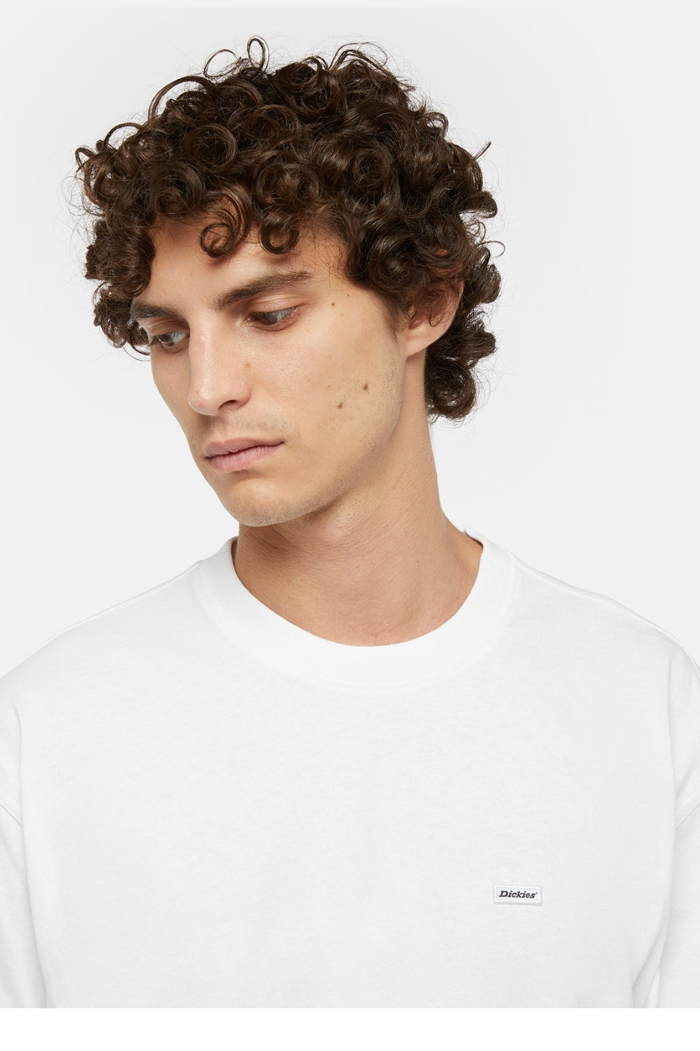 Dickies-Clancy Heavyweight SS Tee-T-Shirts-3-Milagron.com