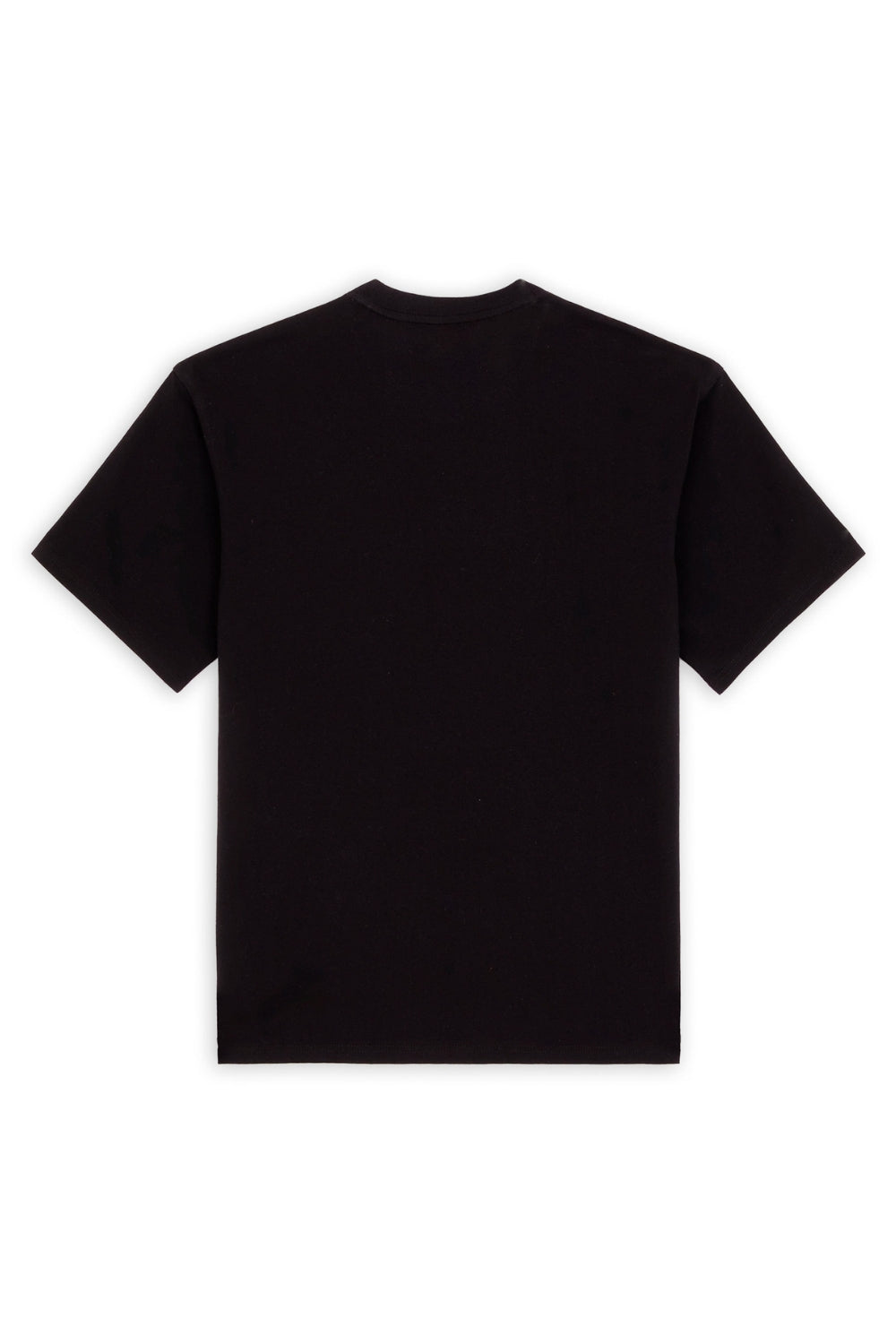 Dickies-Clancy Heavyweight Ss Tee-T-Shirts-7-Milagron.com