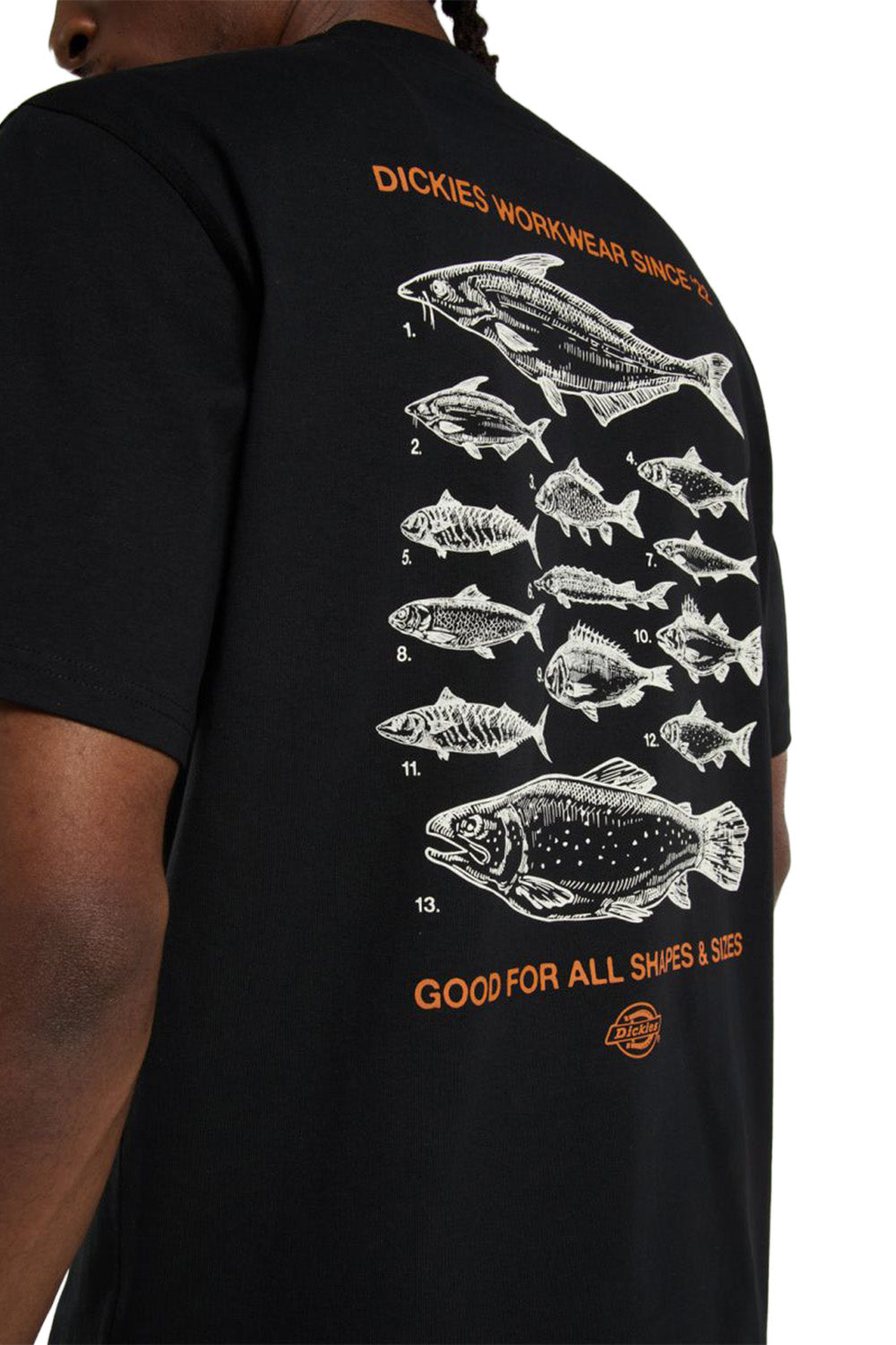 Dickies-Laryvillle Tee Ss Erkek Siyah T-Shirt-T-Shirts-6-Milagron.com