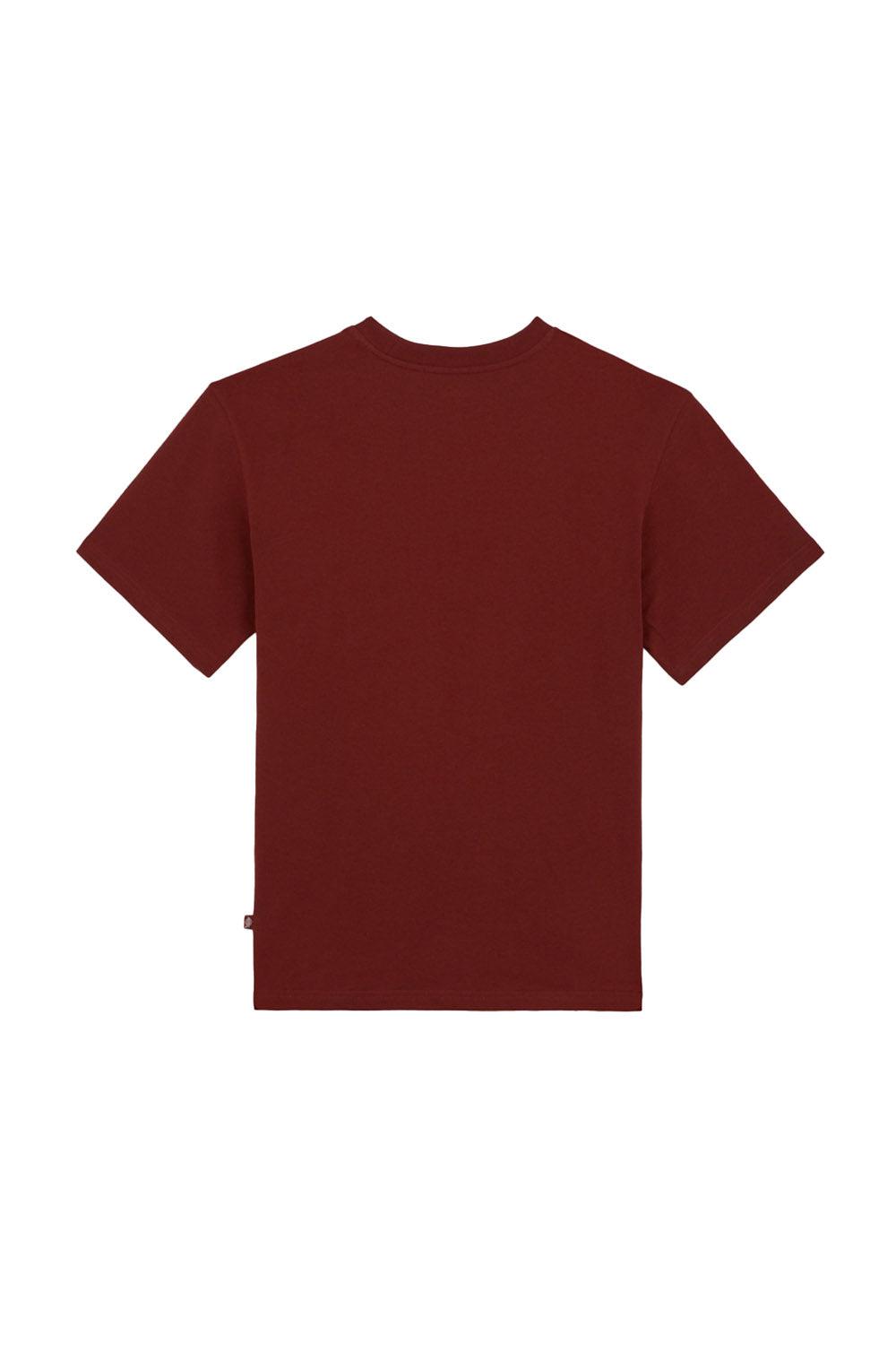 Dickies-Luray Pocket Tee SS Fired Brick-T-Shirts-6-Milagron.com