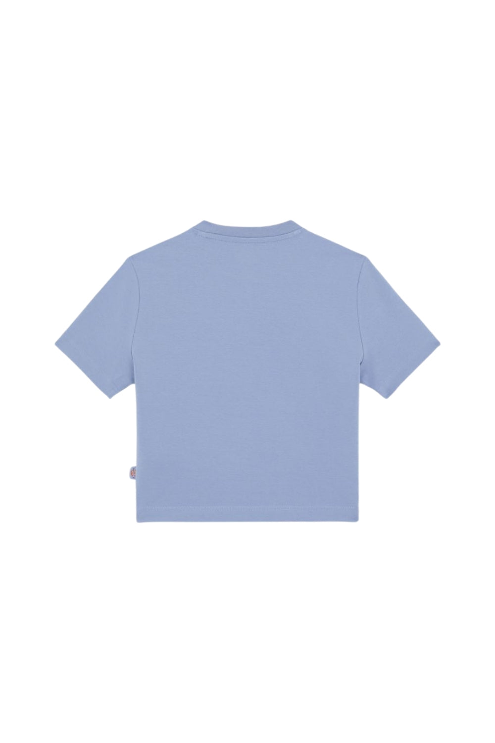 Dickies-Maple Valley Tee Country Blue-T-Shirts-6-Milagron.com