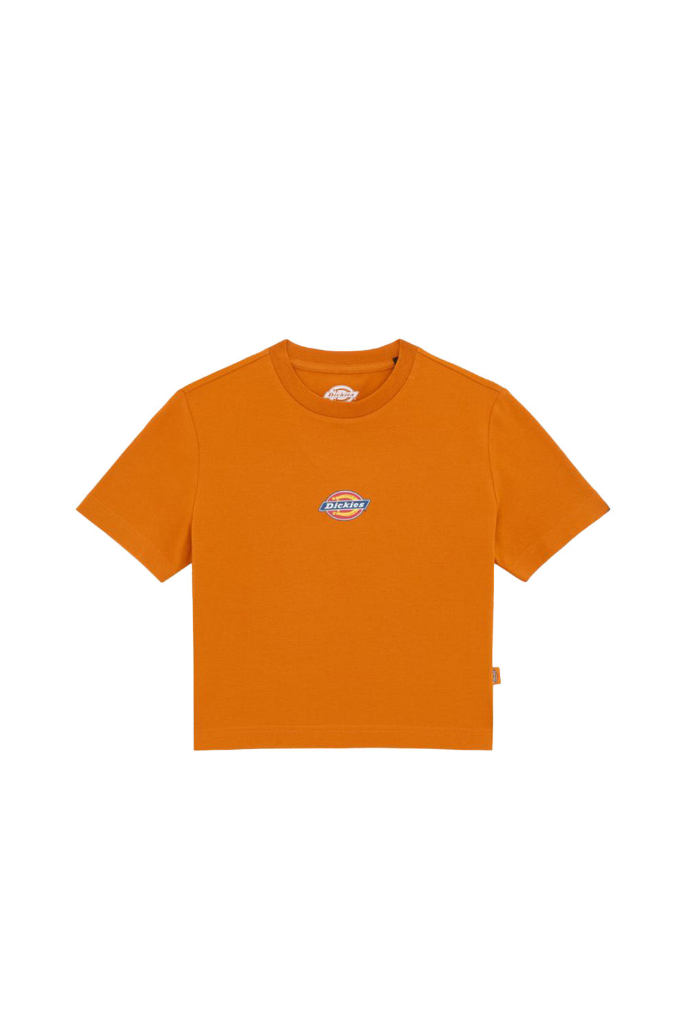 Dickies-Maple Valley Tee Country Kadın Turuncu T-Shirt-T-Shirts-4-Milagron.com