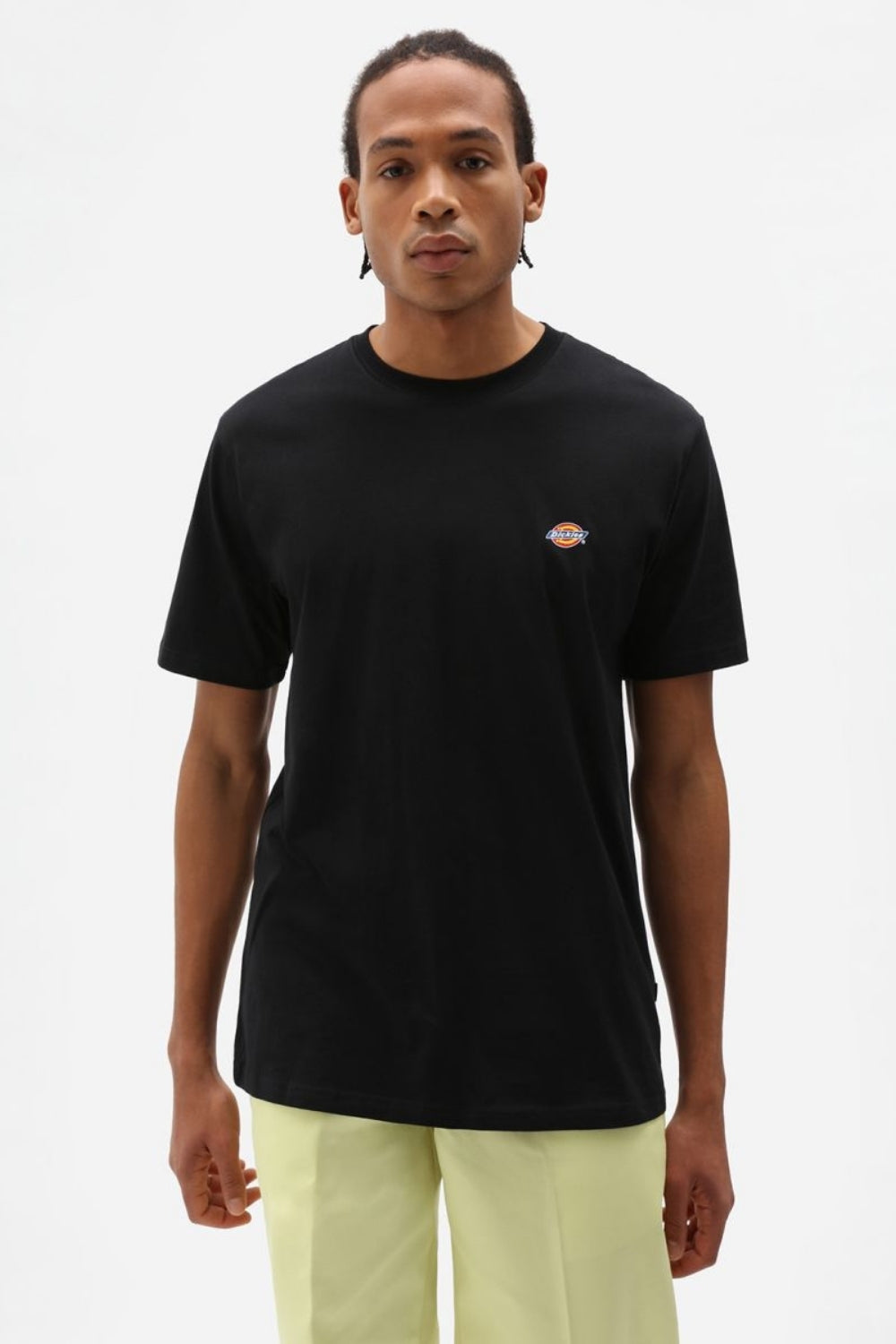 Dickies-Mapleton Ss Tee Black-T-Shirts-1-Milagron.com