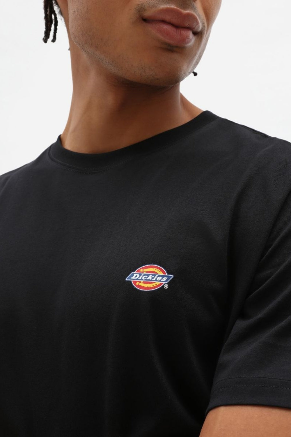 Dickies-Mapleton Ss Tee Black-T-Shirts-2-Milagron.com