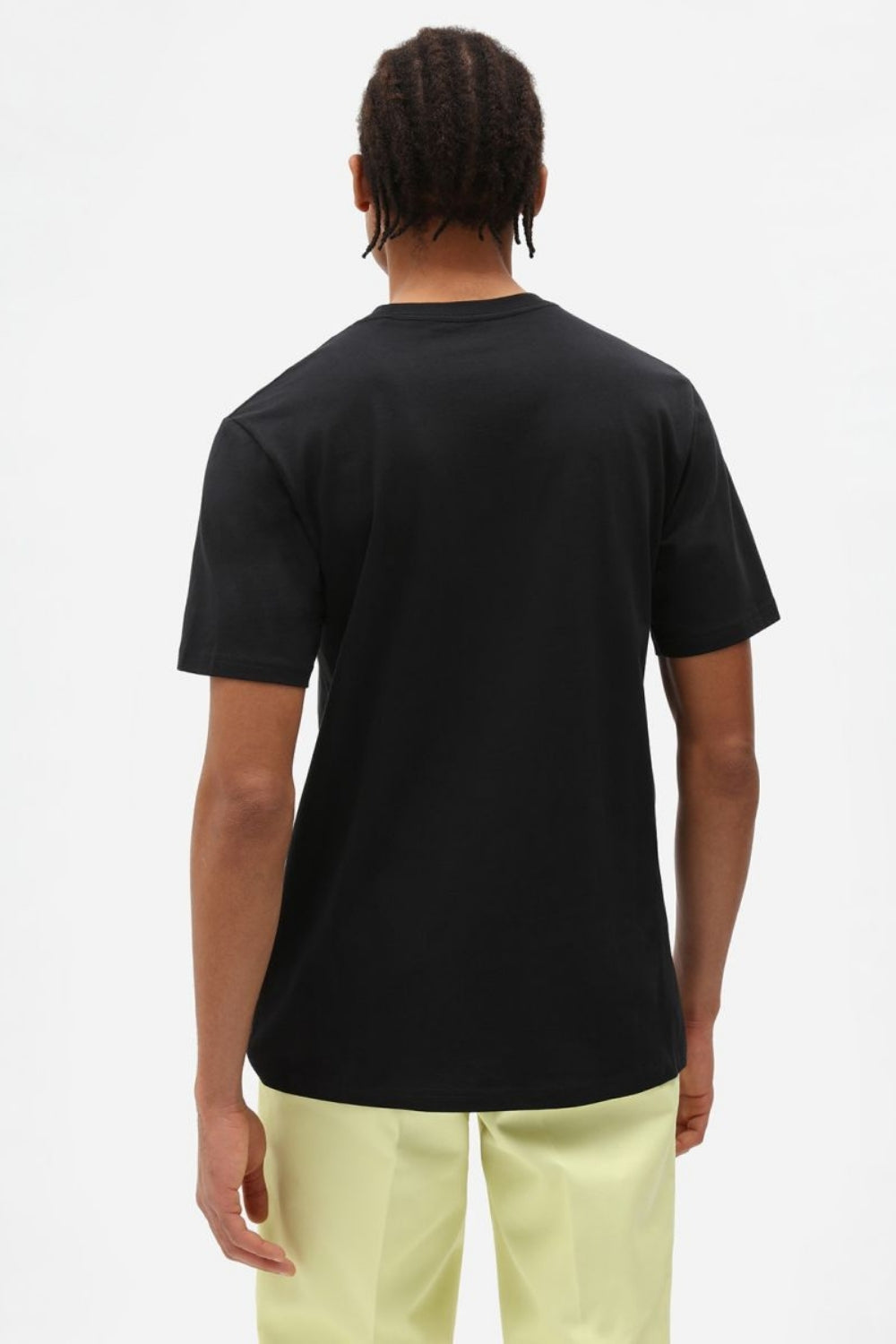Dickies-Mapleton Ss Tee Black-T-Shirts-3-Milagron.com