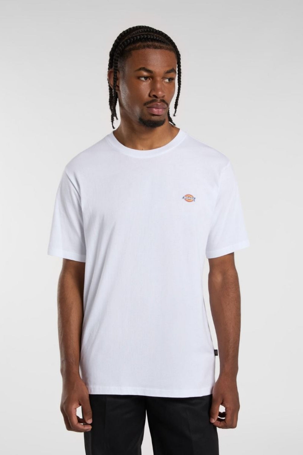 Dickies-Mapleton Ss Tee White-T-Shirts-1-Milagron.com
