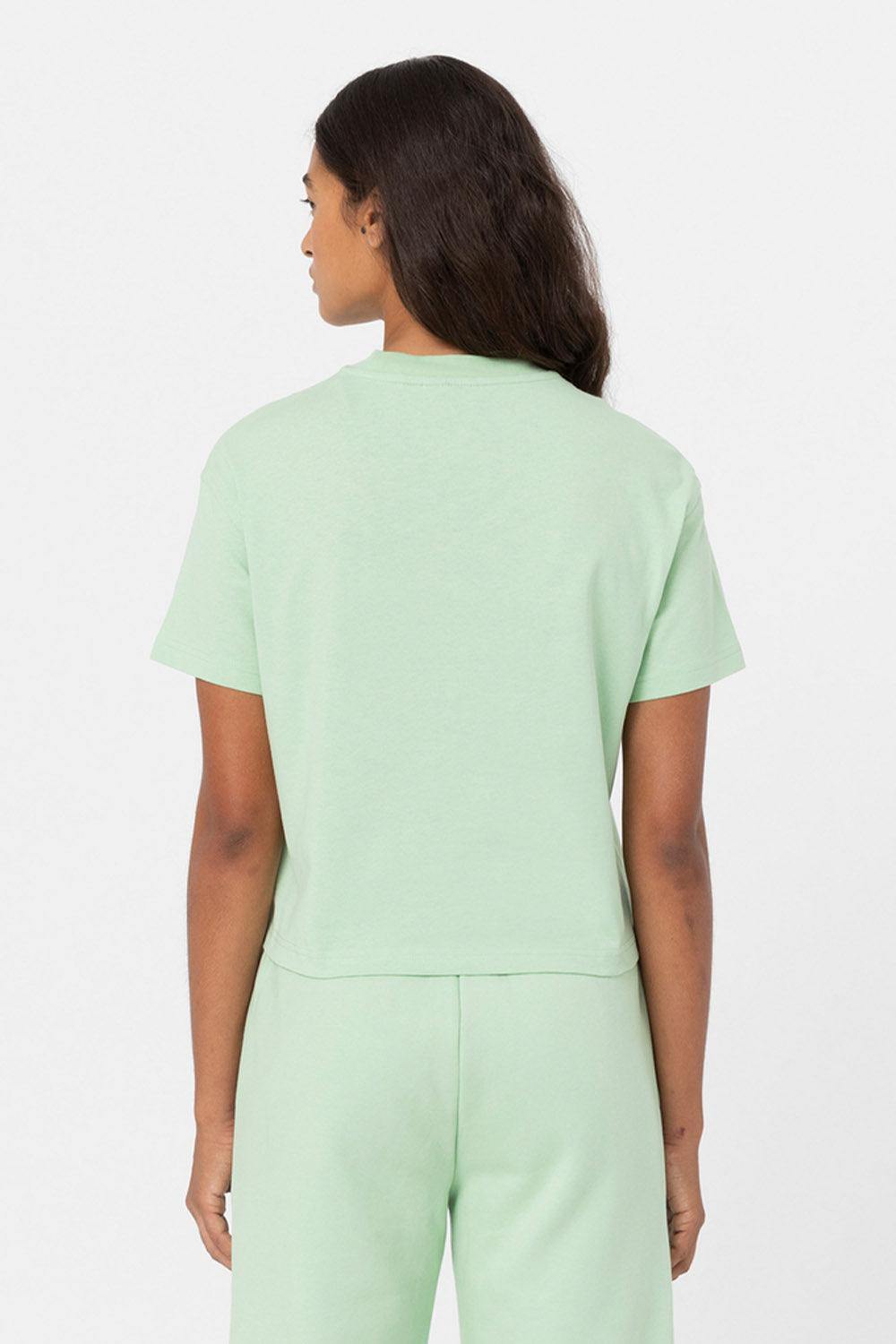 Dickies-Oakport Quiet Green-T-Shirts-2-Milagron.com