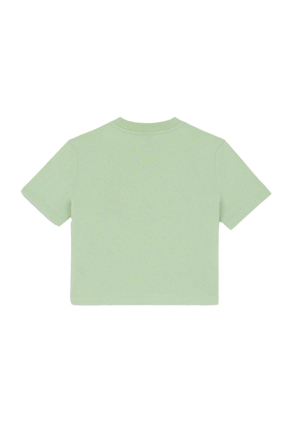 Dickies-Oakport Quiet Green-T-Shirts-6-Milagron.com