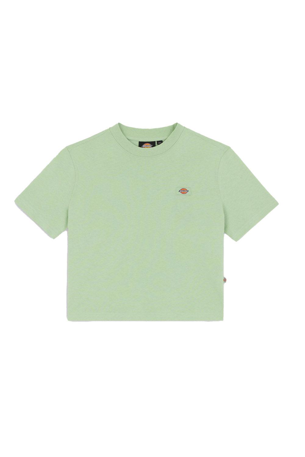 Dickies-Oakport Quiet Green-T-Shirts-7-Milagron.com
