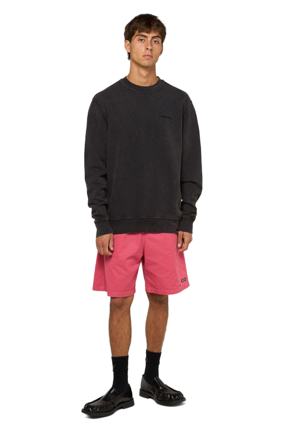 Dickies-Plentywood SW Erkek Yıkamalı Uzun Kollu Sweatshirt-Sweatshirts & Hoodies-2-Milagron.com