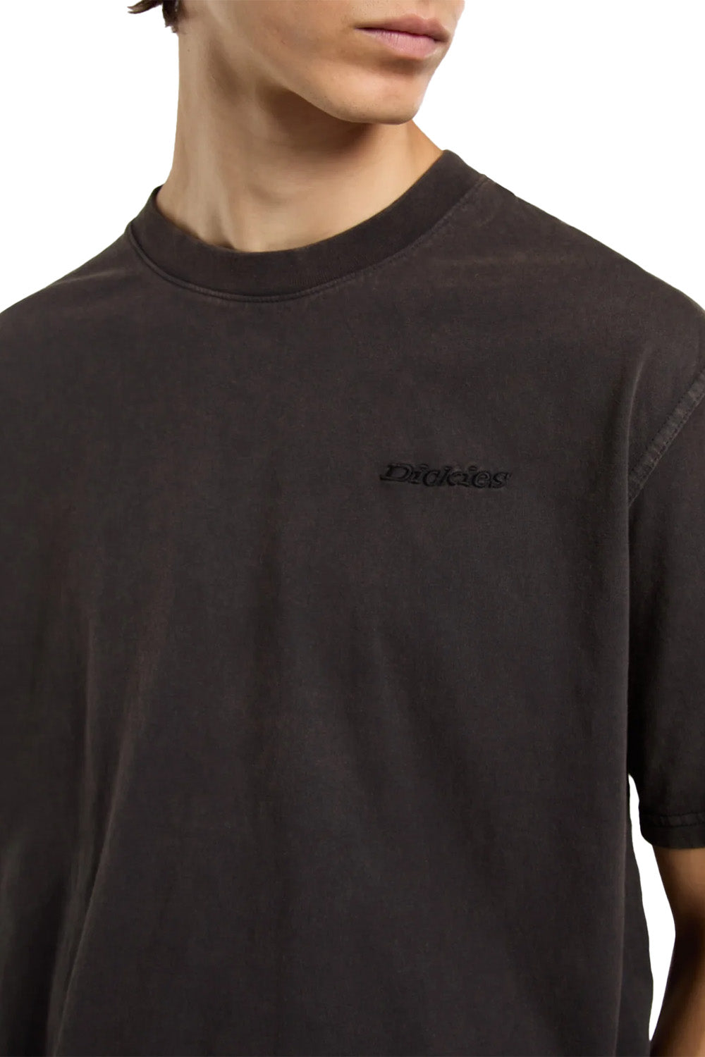 Dickies-Plentywood Tee Ls Erkek Yıkamalı Kısa Kollu T-Shirt-T-Shirts-6-Milagron.com