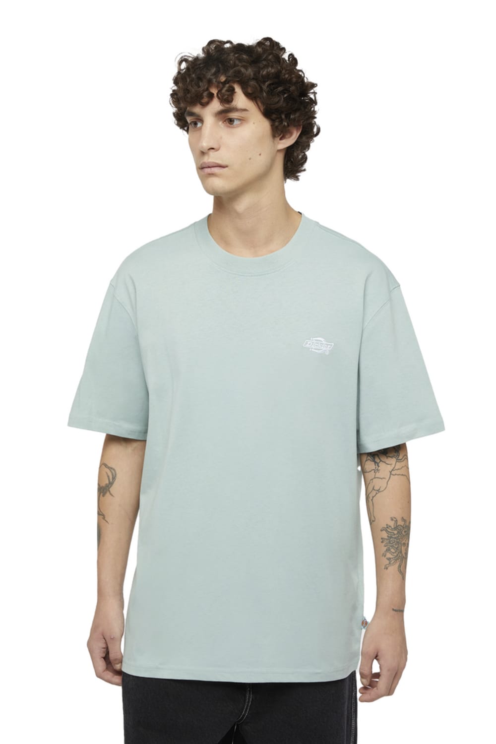 Dickies-Summerdale SS Tee Blue Surf-T-Shirts-1-Milagron.com