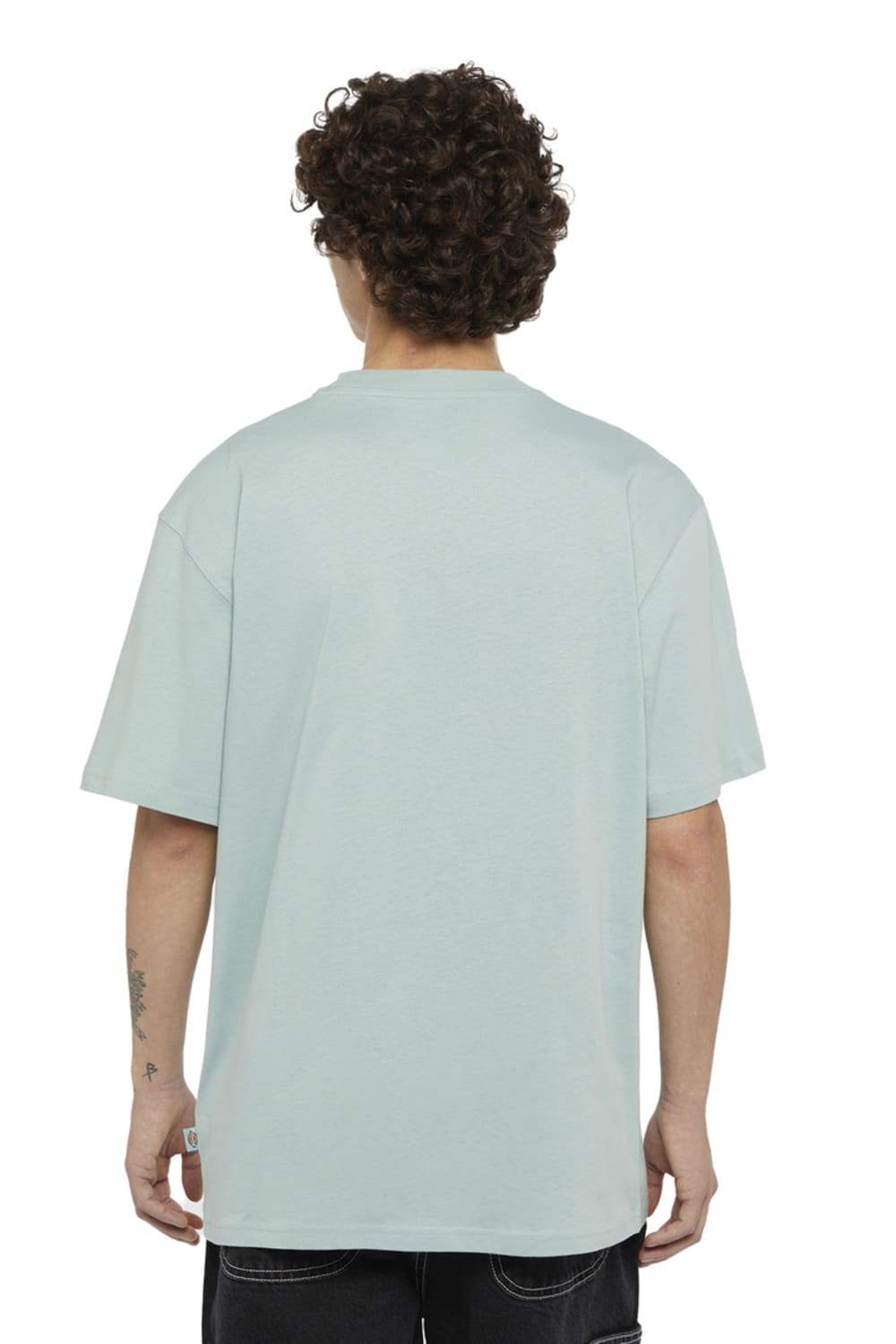 Dickies-Summerdale SS Tee Blue Surf-T-Shirts-2-Milagron.com