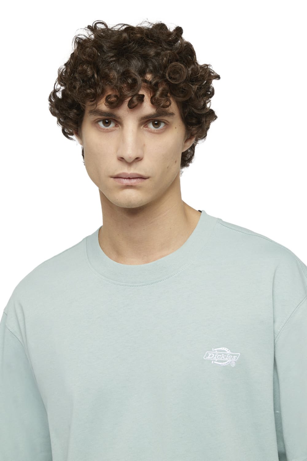 Dickies-Summerdale SS Tee Blue Surf-T-Shirts-3-Milagron.com