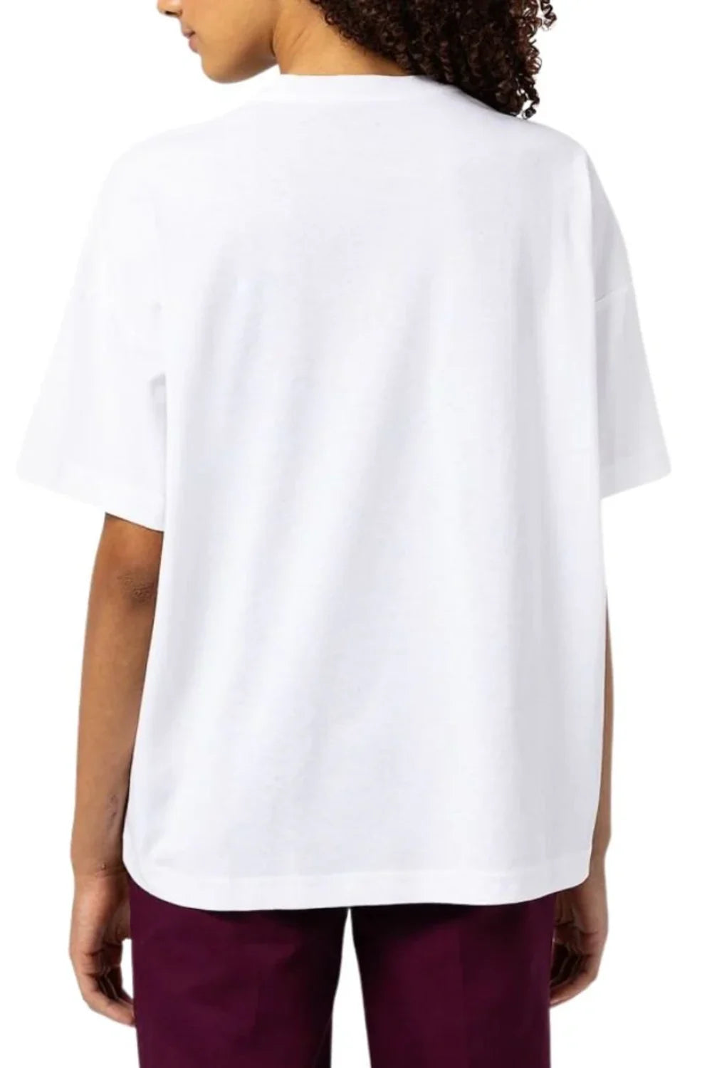 Dickies-Summerdale SS Tee White-T-Shirts-6-Milagron.com