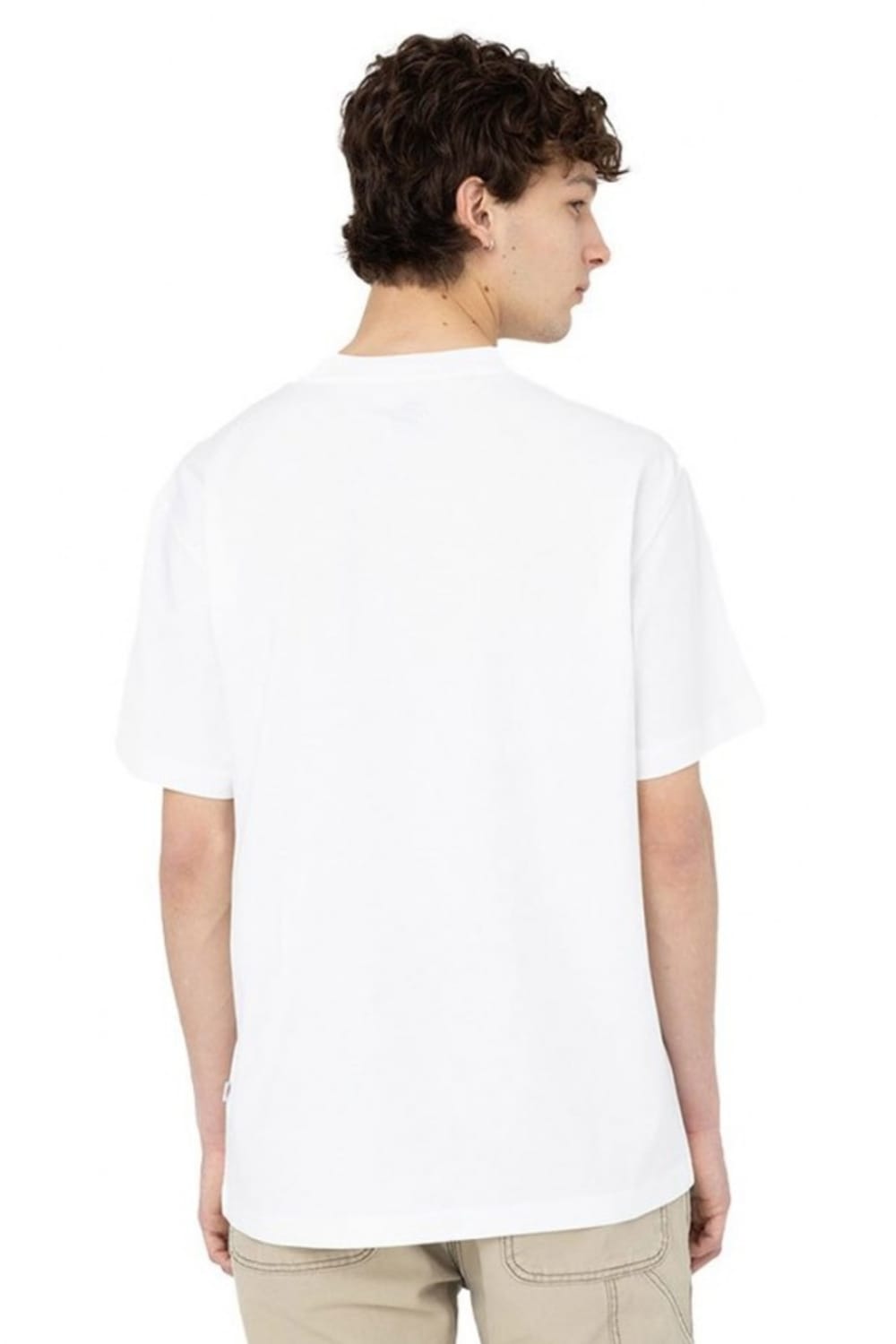 Dickies-Summerdale SS Tee White-T-Shirts-8-Milagron.com
