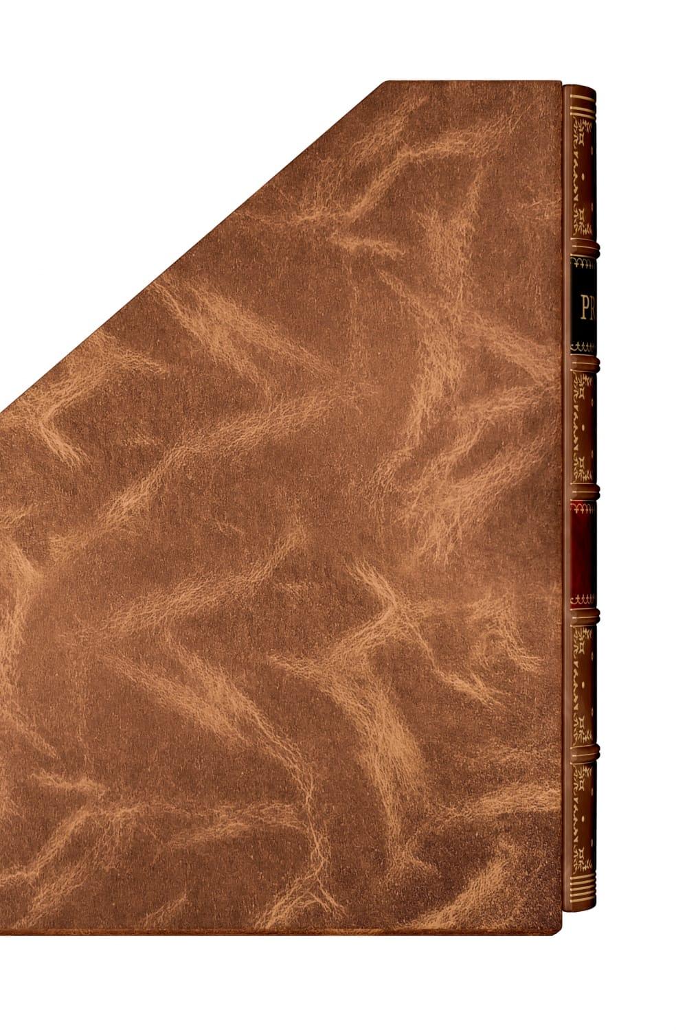 El Casco-Havuz Klasör 813-Ofis Düzenleyicileri-6-Milagron.com