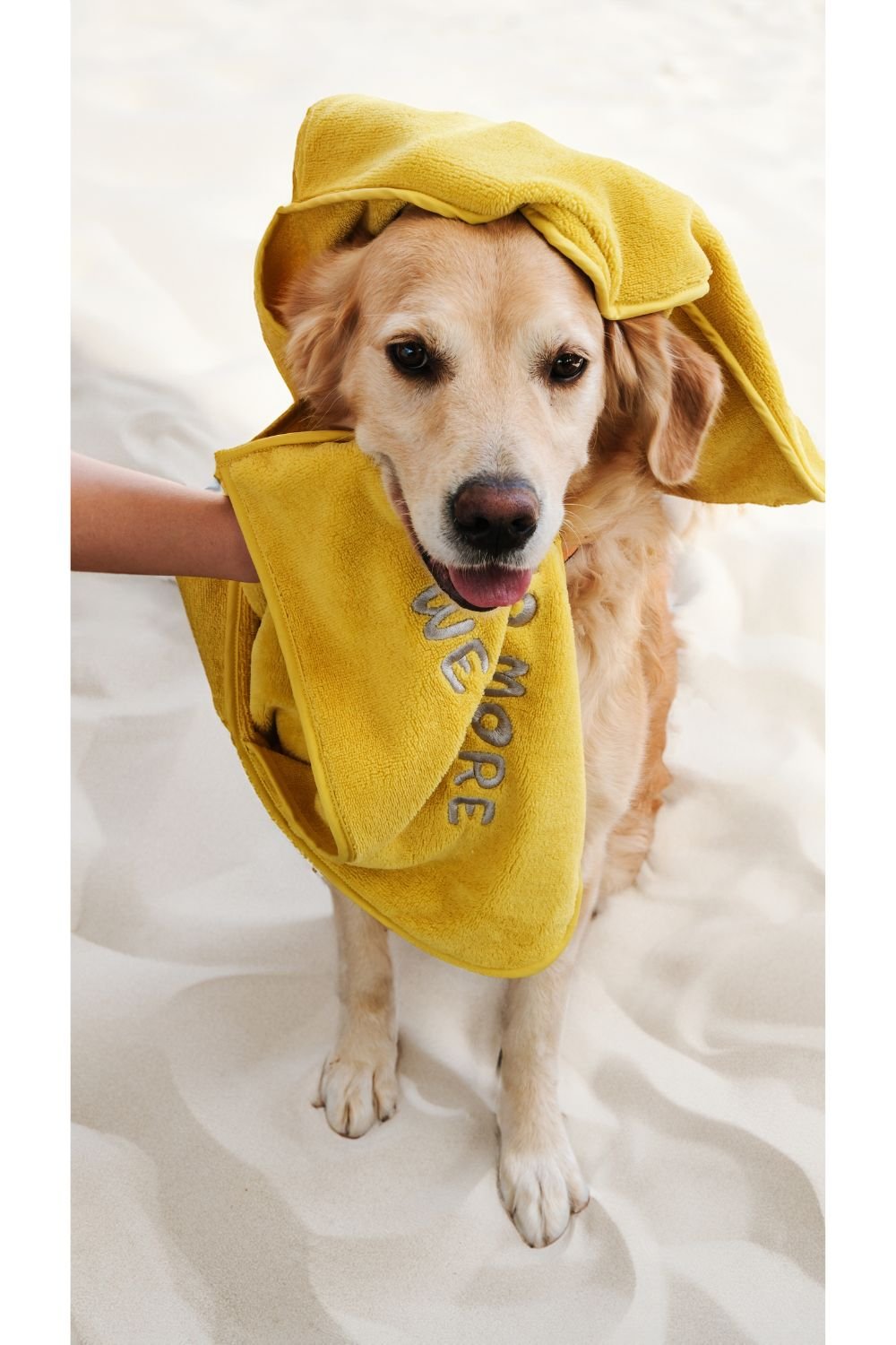 Eliphe-Eliphe Pet Havlusu-Köpek-1-Milagron.com