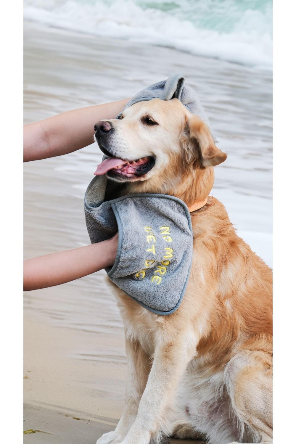 Eliphe-Eliphe Pet Havlusu-Köpek-1-Milagron.com