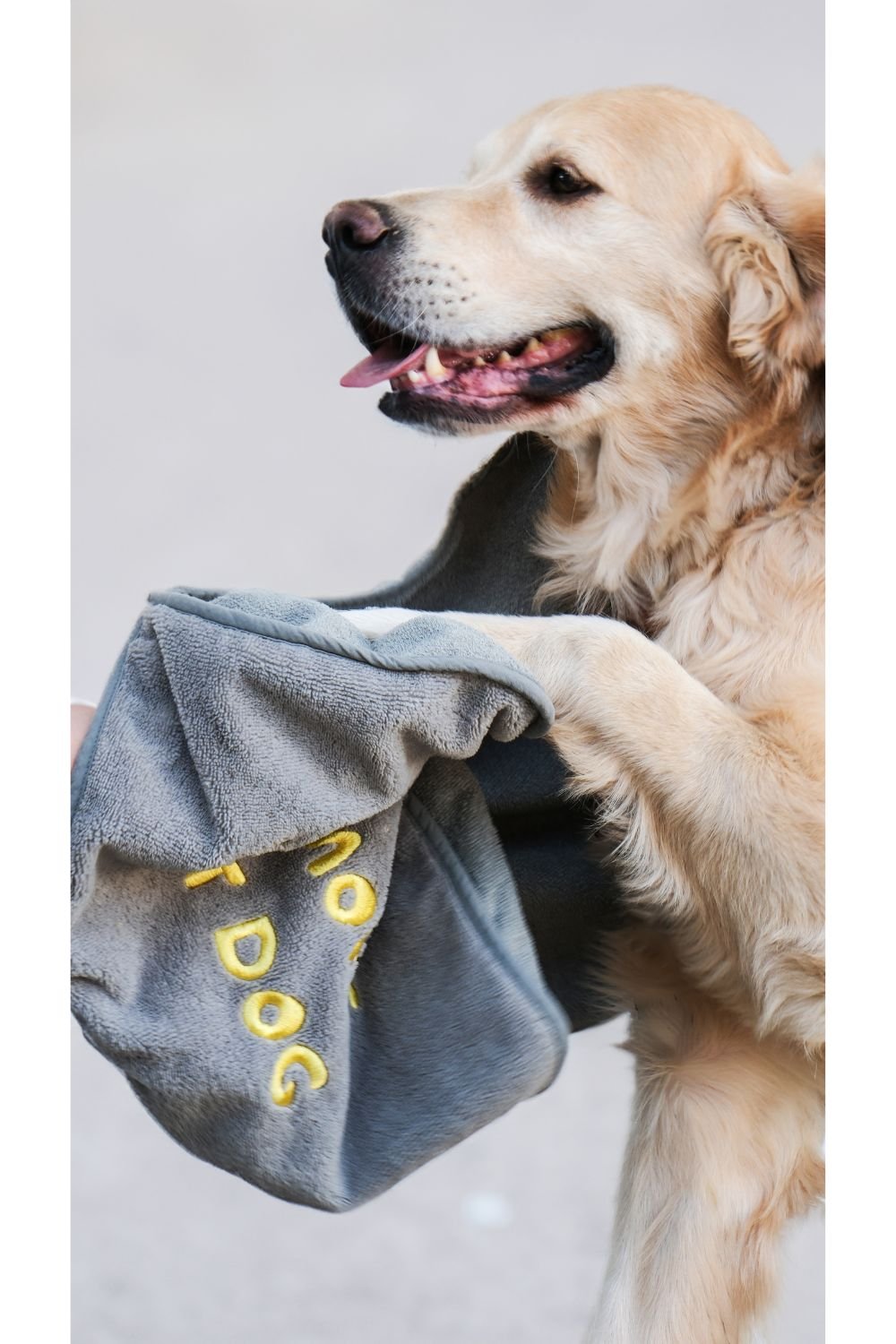 Eliphe-Eliphe Pet Havlusu-Köpek-3-Milagron.com