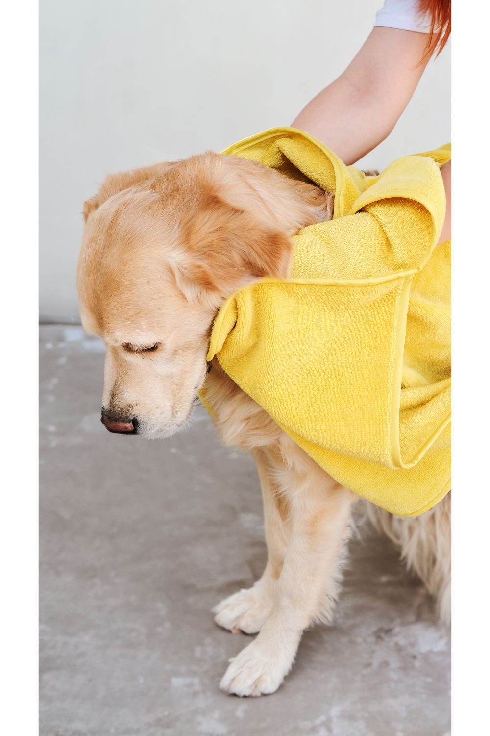 Eliphe-Eliphe Pet Havlusu-Köpek-4-Milagron.com