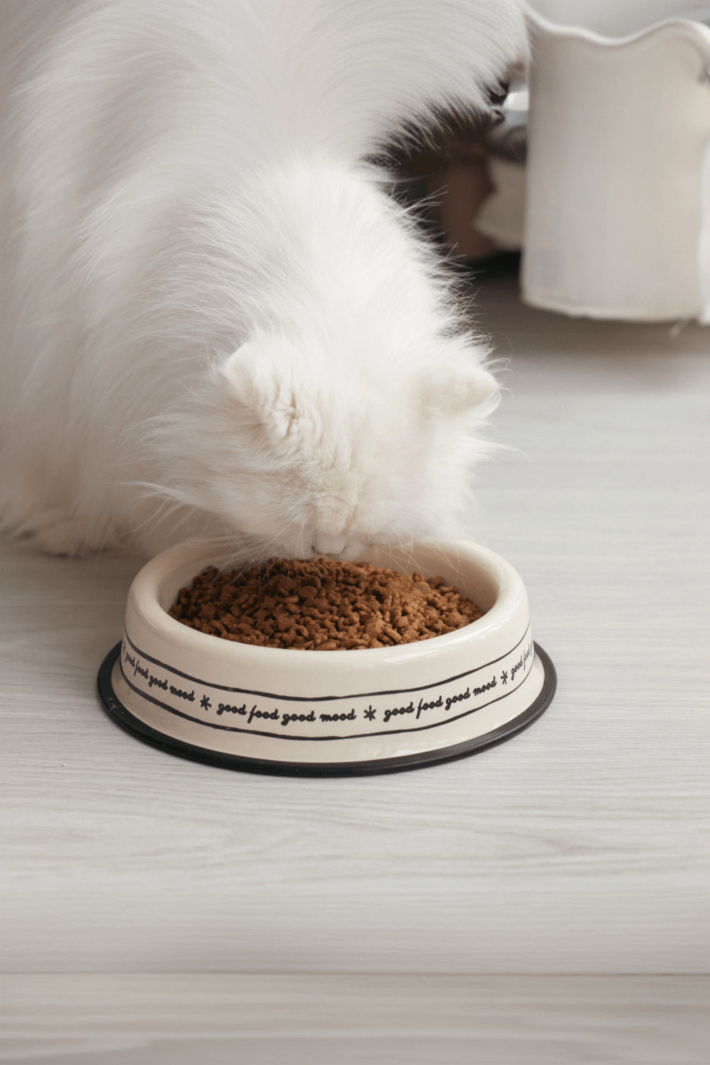 Emaylab-Emaylab Kedi/Köpek Mama Kabı Mood-Kedi-1-Milagron.com