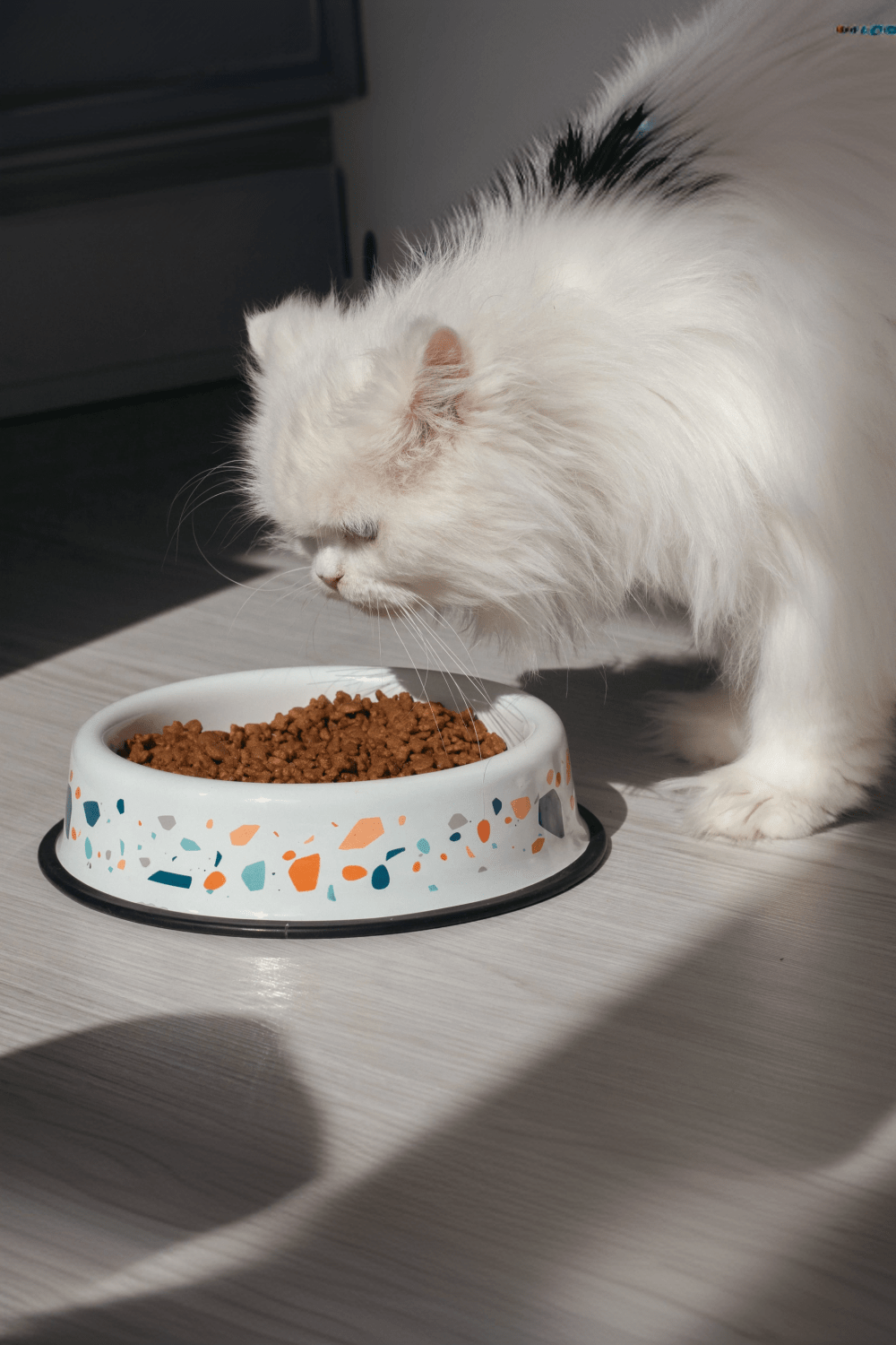 Emaylab-Emaylab Kedi/Köpek Mama Kabı Terazzo-Kedi-1-Milagron.com