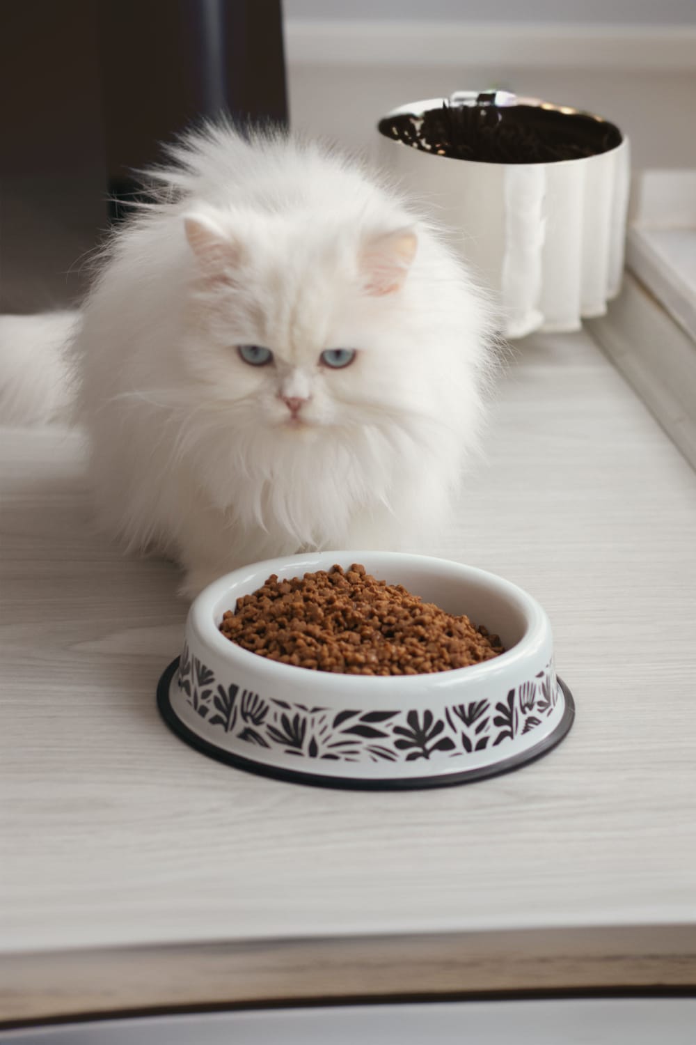 Emaylab-Emaylab Kedi/köpek Mama Kabı Abstract Desen-Kedi-1-Milagron.com