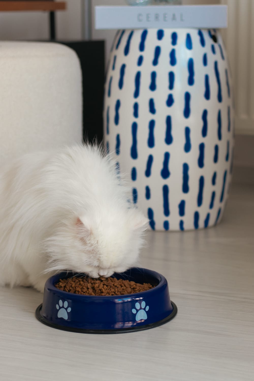 Emaylab-Emaylab Kedi/köpek Mama Kabı Pati Desen-Kedi-1-Milagron.com