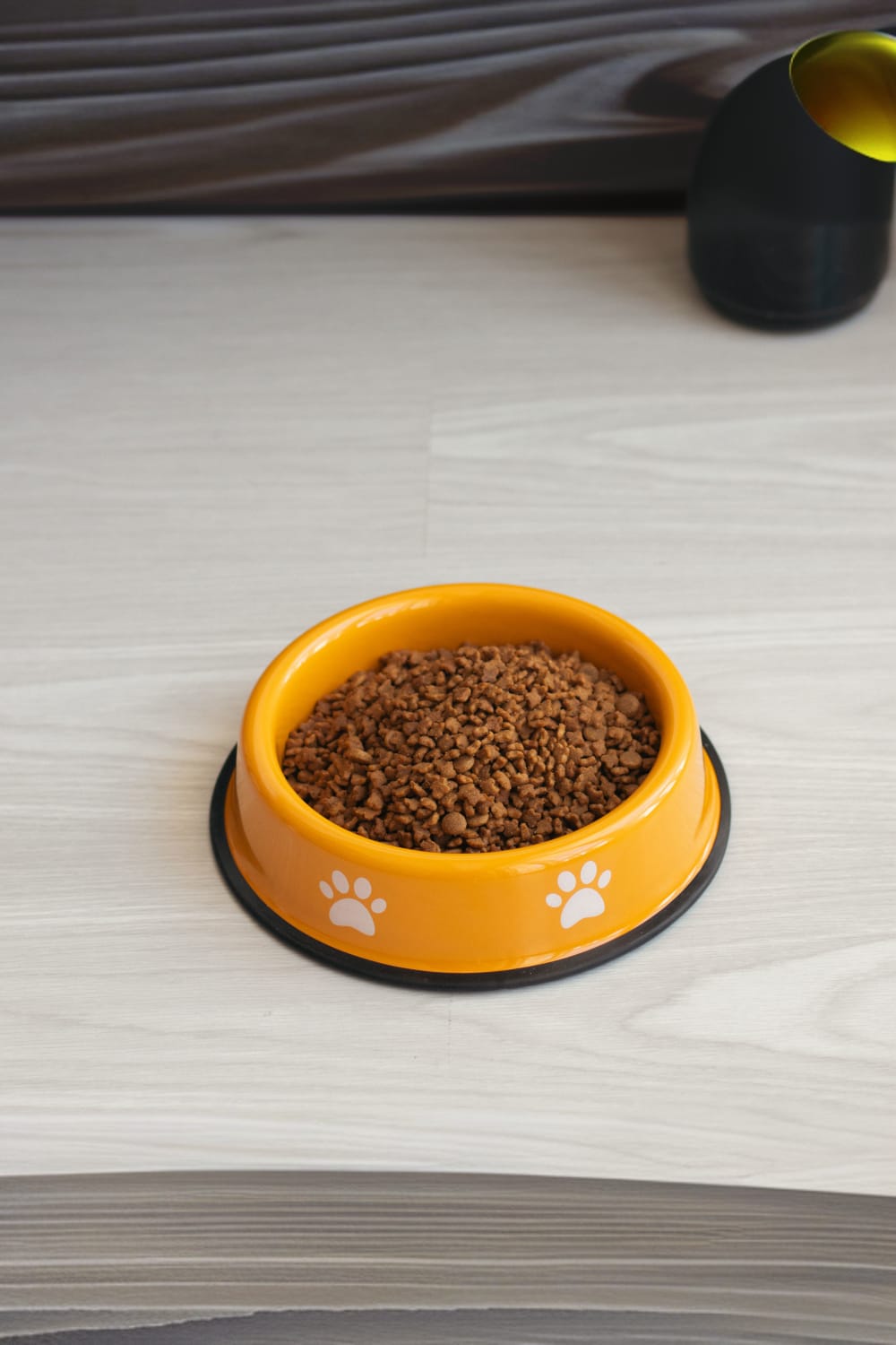 Emaylab-Emaylab Kedi/köpek Mama Kabı Pati Desen-Kedi-1-Milagron.com