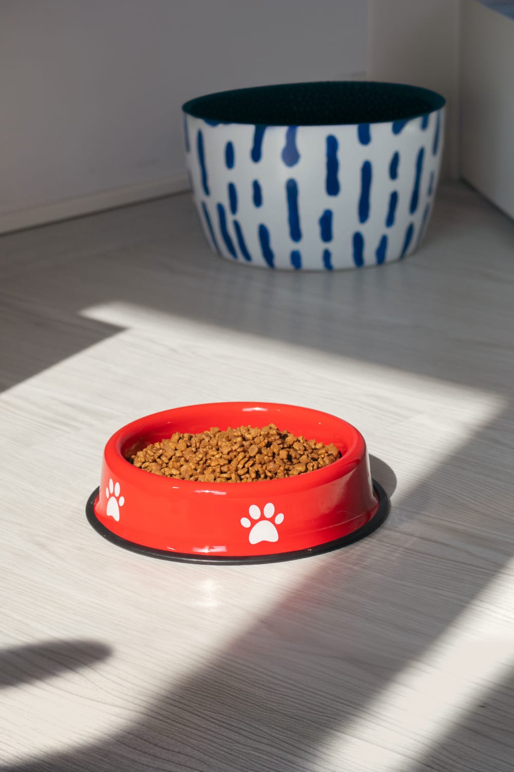 Emaylab-Emaylab Kedi/köpek Mama Kabı Pati Desen-Kedi-1-Milagron.com