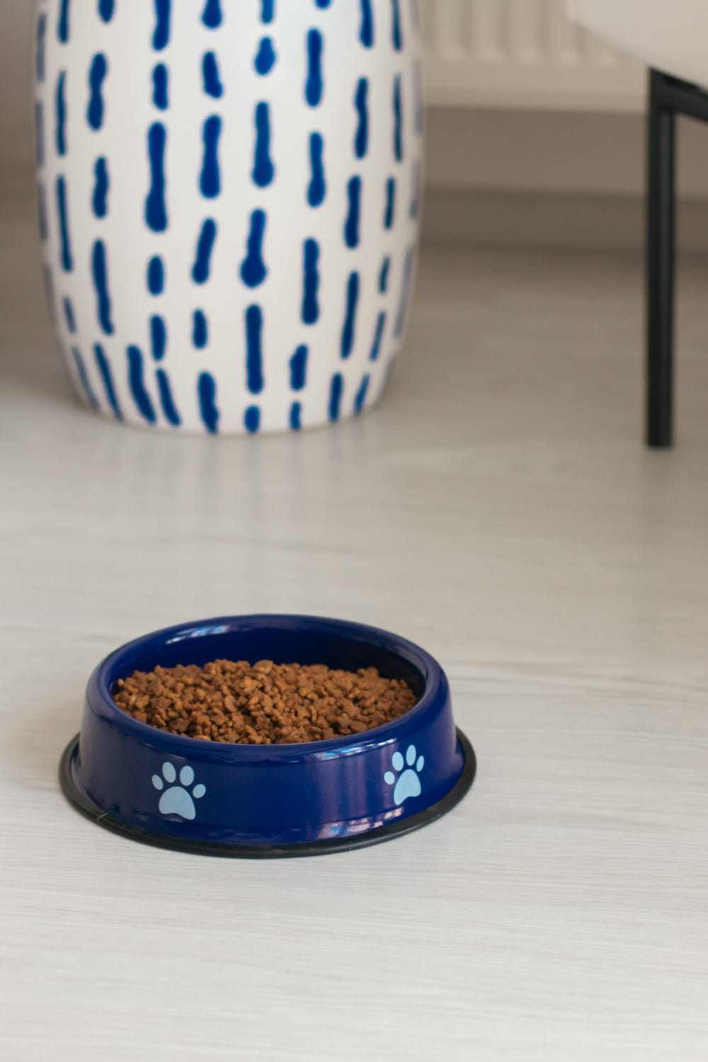 Emaylab-Emaylab Kedi/köpek Mama Kabı Pati Desen-Kedi-2-Milagron.com