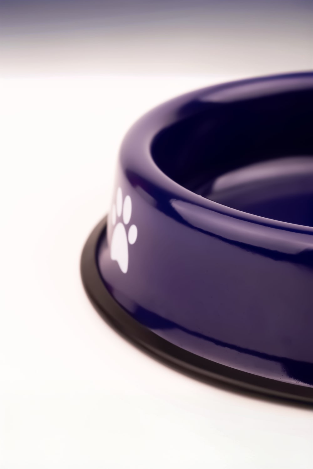 Emaylab-Emaylab Kedi/köpek Mama Kabı Pati Desen-Kedi-3-Milagron.com