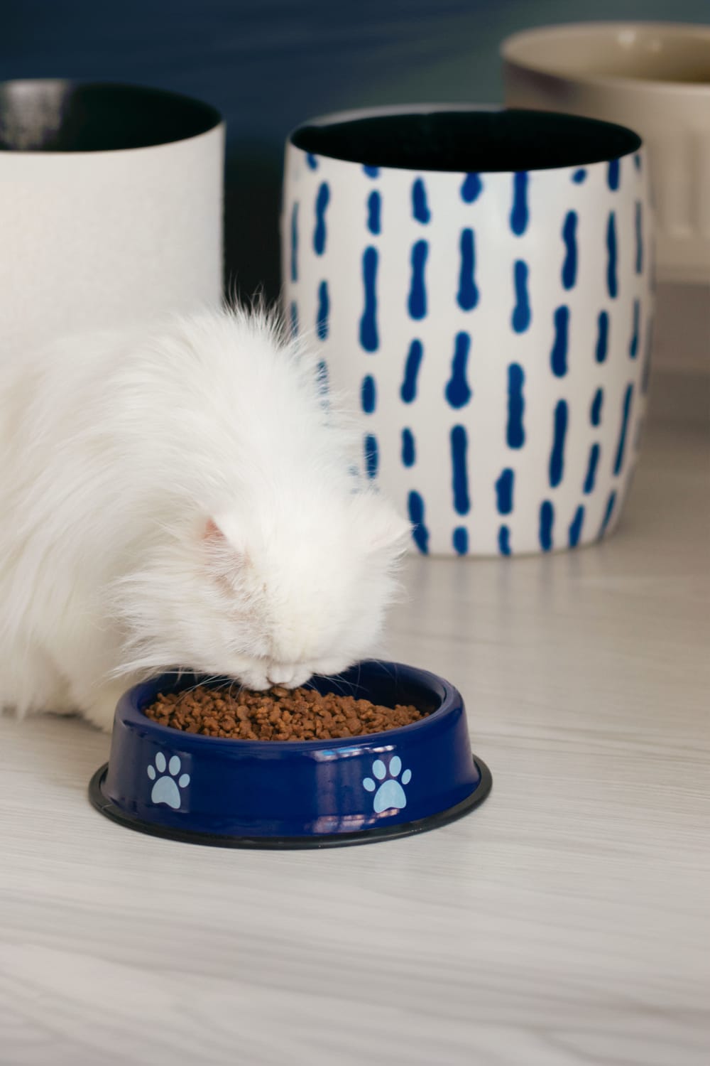 Emaylab-Emaylab Kedi/köpek Mama Kabı Pati Desen-Kedi-5-Milagron.com