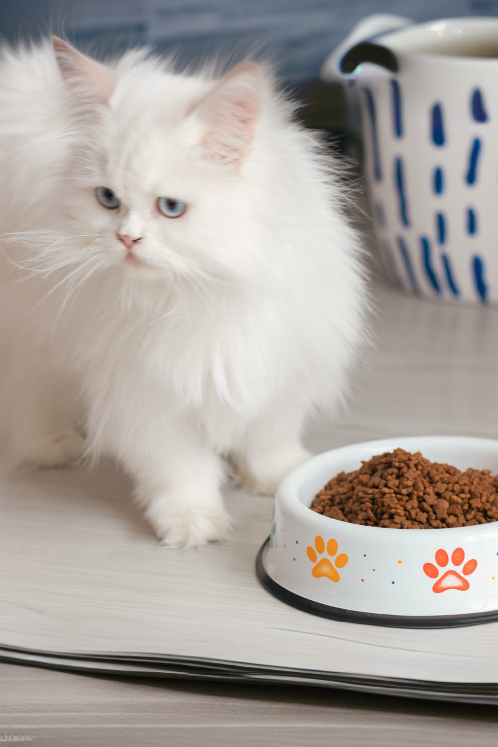 Emaylab-Emaylab Kedi/köpek Mama Kabı Rainbow Paw-Kedi-1-Milagron.com