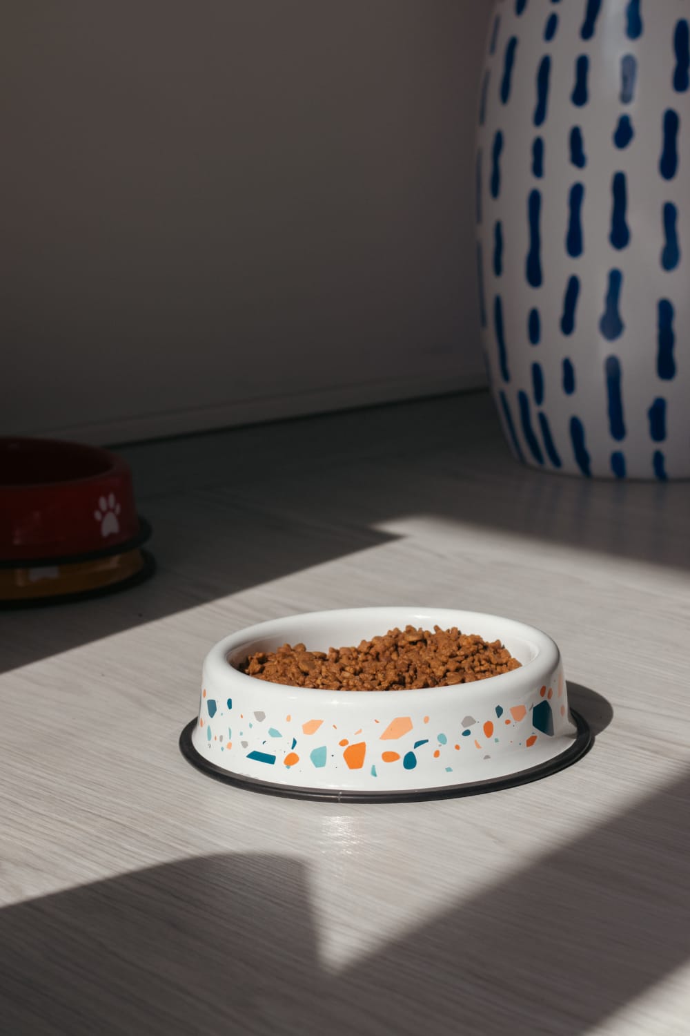 Emaylab-Emaylab Kedi/köpek Mama Kabı Rainbow Paw-Kedi-2-Milagron.com