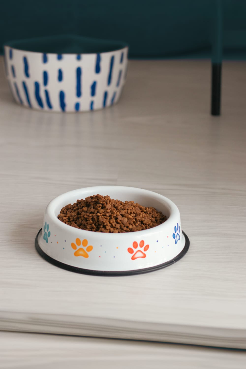 Emaylab-Emaylab Kedi/köpek Mama Kabı Rainbow Paw-Kedi-3-Milagron.com