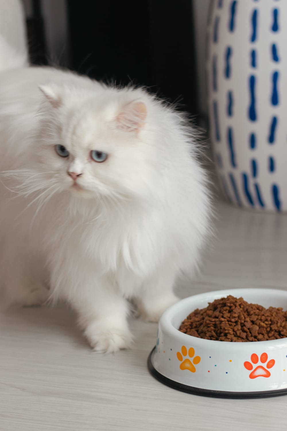 Emaylab-Emaylab Kedi/köpek Mama Kabı Rainbow Paw-Kedi-4-Milagron.com