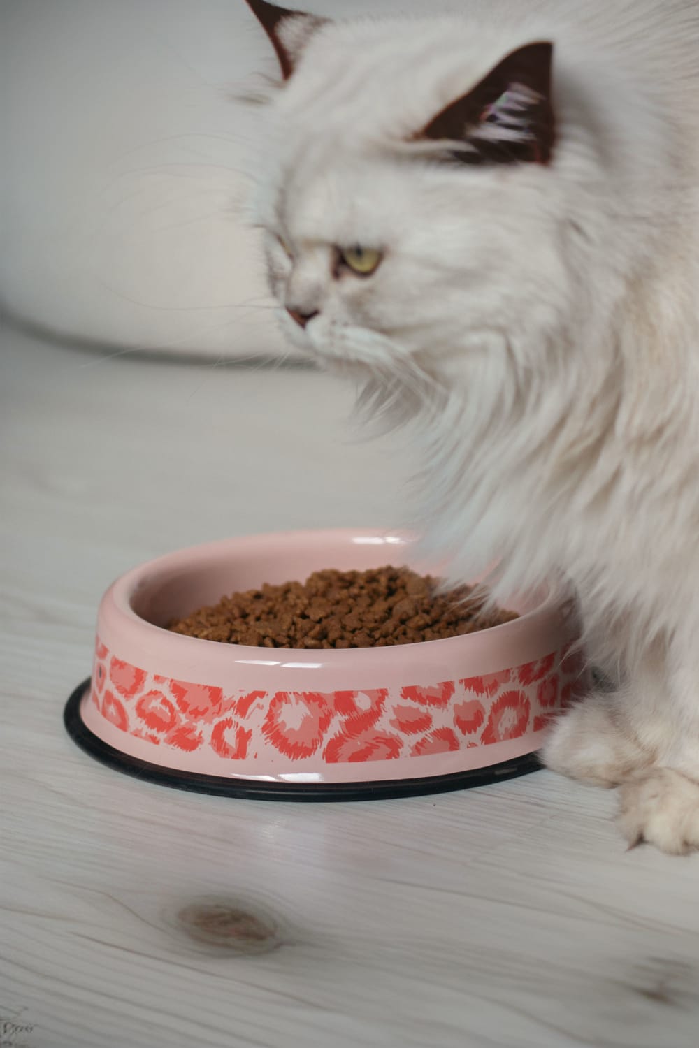 Emaylab-Emaylab Kedi/köpek Mama Kabı Savage Pink-Kedi-1-Milagron.com