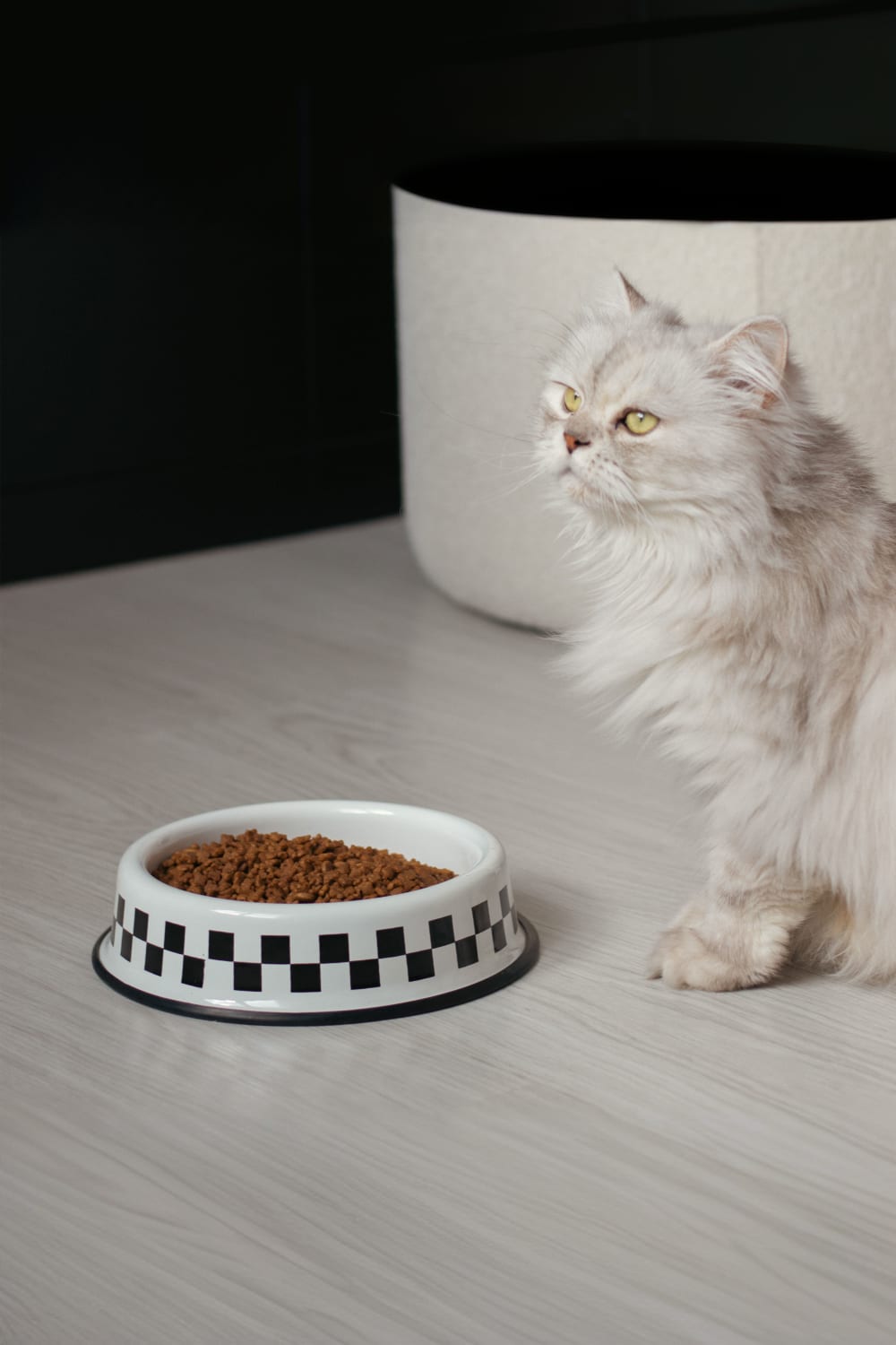 Emaylab-Kedi/Köpek Mama Kabı Checkers-Kedi-1-Milagron.com