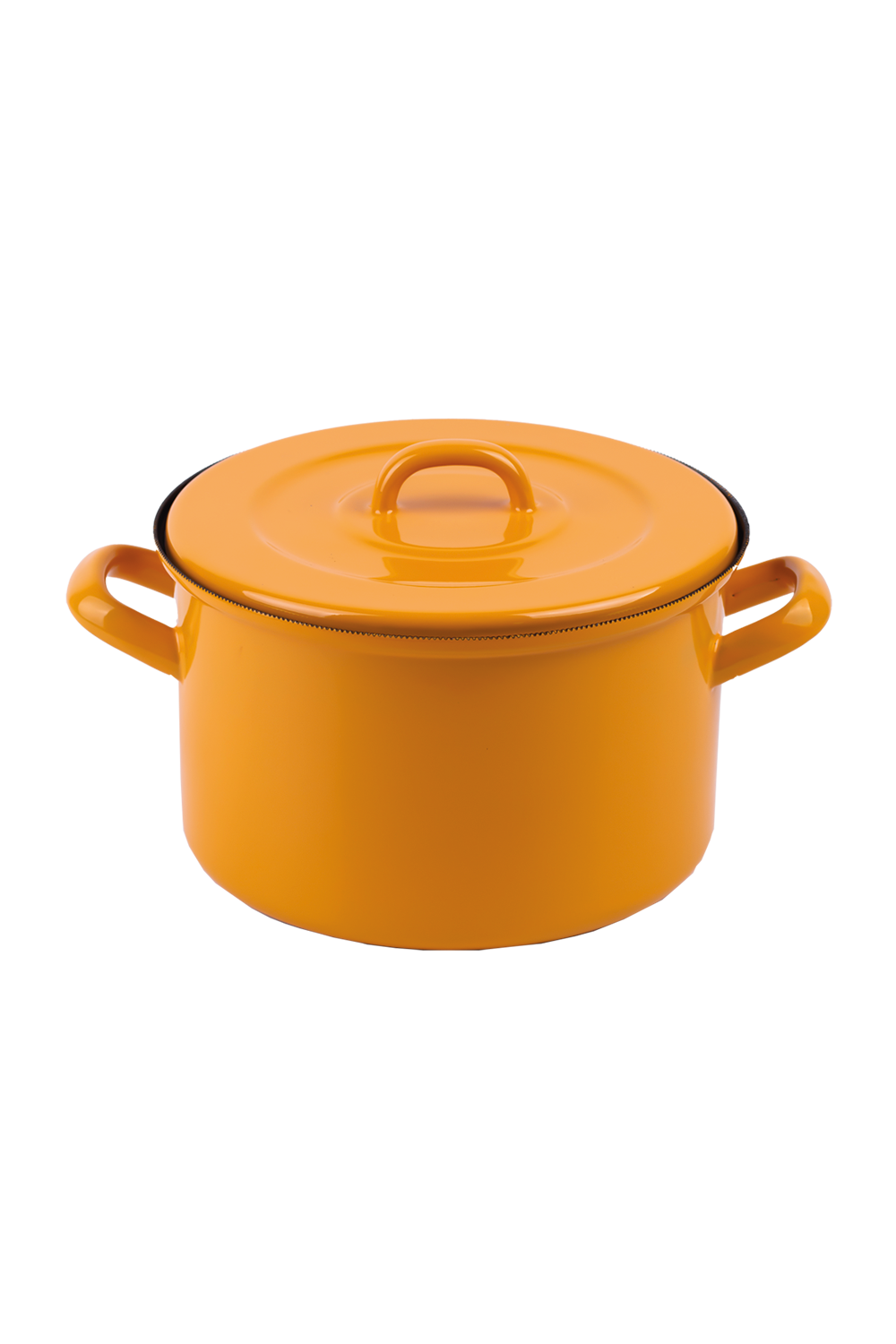 Emaylab-Rainpot Emaye Tencere 22cm - Mustard-Sunum Aksesuarları-1-Milagron.com