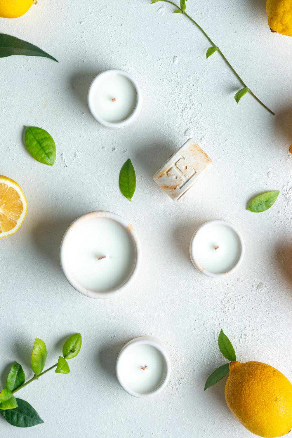 Esti Living-Fresh Bloom Mini 4'lü Mum Seti-Mum-1-Milagron.com