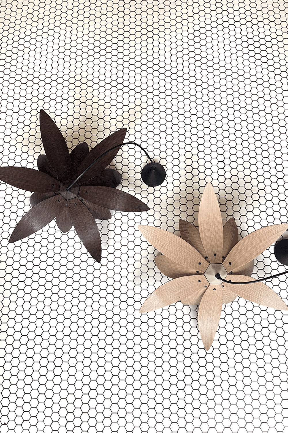 Fagus Wood-Lotus Avize – Ahşap Modern Ve Minimal Tasarım Avize, İskandinav Salon Ve Oturma Odası Aydınlatması (ceviz)-Avize-6-Milagron.com