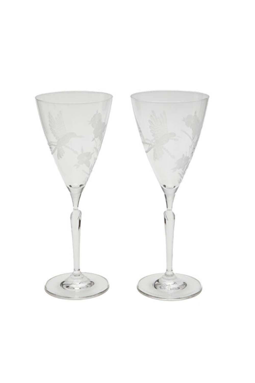 Hummingbird Cam Kadeh Seti - 1