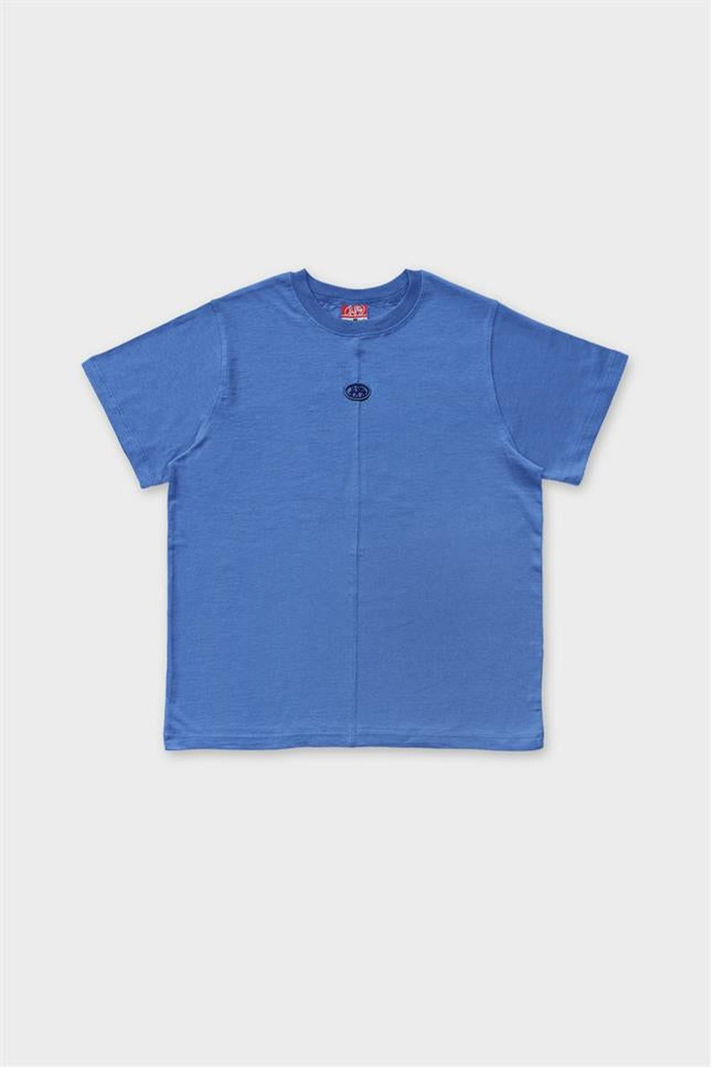 Kadın Mavi Loose Fit Sırt Baskılı T-Shirt
